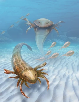 Eurypterids Pentecopterus Vertical