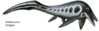 Ichthyosaurs-Grippia-1024x322.png