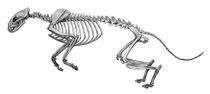 S13245621