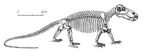 61857663.jpg