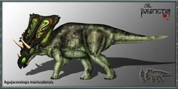 Agujaceratopsmariscalensis 3a5f.jpg