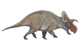 Crittendenceratops