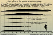 Giant-prehistoric-snakes