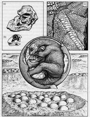 Image072