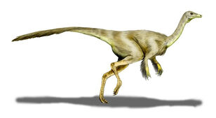 Struthiomimus BW (1).jpg
