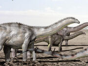 Brontosaurus NT small