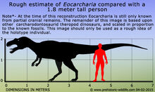 Eocarcharia-size.jpg