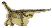 Camarasaurus E T
