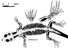 0u57bf2d99-72b1c8aa-7951400c.jpg