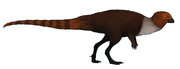 Eugongbusaurus