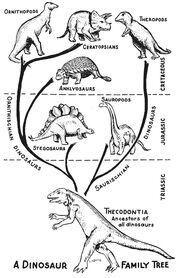 Dinosaur-family-tree, 1965