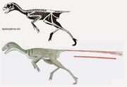 Epidexipteryx skeleton.jpg