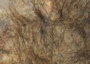 Mammoth wool