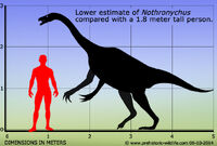 Сравнение размеров Nothronychus с человеком