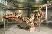 Edmontosaurus Senckenberg 02