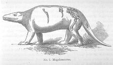 Megalosaurus Geology and Inhabitants of the Ancient World, 1854 by Sir Richard Owen