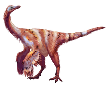 Garudamimus