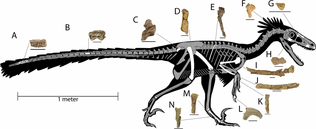 0u39043a80-487f8e96-3d064ef5.png