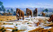 Image-Woolly-Mammoths.jpg