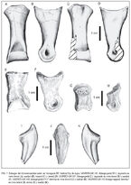 Fig06-07