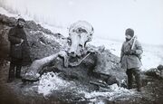 A Berezovka folyó völgye, mamutlelet. Balra a lelet felfedezője, Eugene W. Pfitzenmayer régész. Fortepan 95087