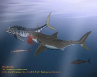 Cretoxyrhina vs xiphactinus 1 by paleo reptiles-d5rhc8o.jpg (65 КБ)