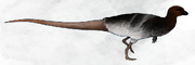 Life Reconstruction of Gongbusaurus