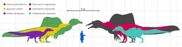 Spinosauridae Size Diagram by PaleoGeeVersion 2