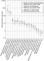 Body Mass Estimates European Paleogene Artiodactyls