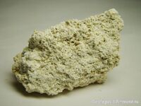 Известняк, сложенный кальцитовыми раковина фузулин
