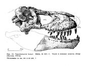 Tarbosaurus 551-1