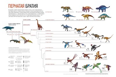 Иллюстрация из журнала National Geographic Россия