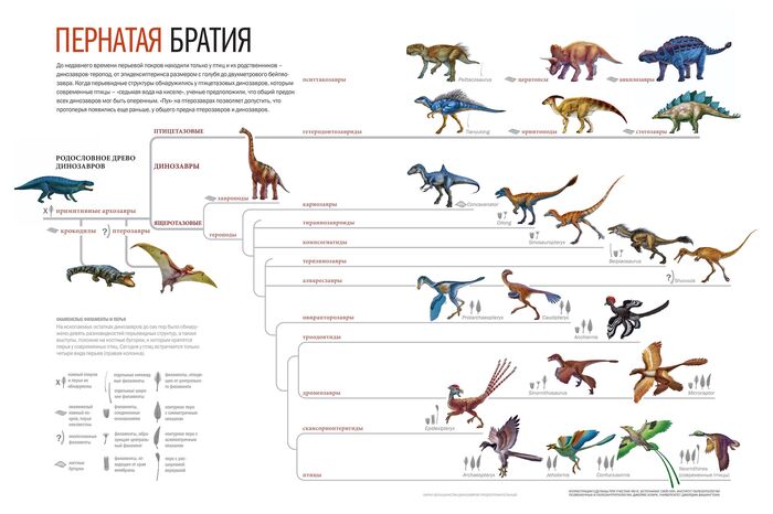 Пернатая братия