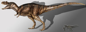 Albertosaurus1