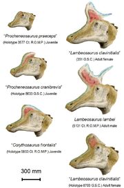 Lambeosaurus lambei BW