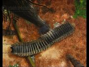 Arthropleura123
