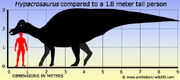 Hypacrosaurus-size.jpg