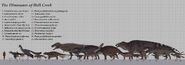 Сферотол в сравнении с человеком и другими динозаврами из США