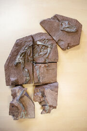 Heterodontosaurus 2005.jpg