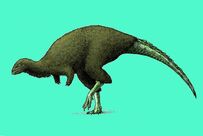 0u396a2963-59a44155-33d0bd0e.jpg