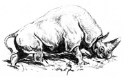 Elasmotherium-as-steppe-dweller-in-the-reconstruction-of-KK-Flerov-from-Detskaya