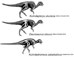 Kulinda Specimen Names