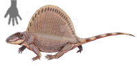 Dimetrodon teutonis