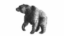 Images-1600010654.jpg