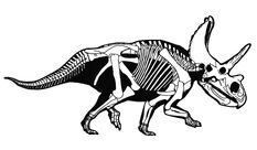 Agujaceratops