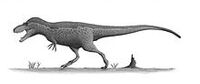 Daspletosaurus torosus steveoc