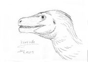 Kuru kulla sketch portrait by shinreddear deuat55-pre