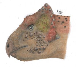 Kulceratops