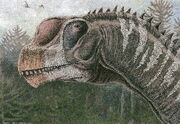 Ancient animals 447371