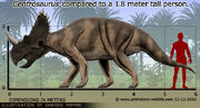 Centrosaurus-size